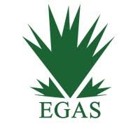 القيادة التنفيذية العليا في EGAS